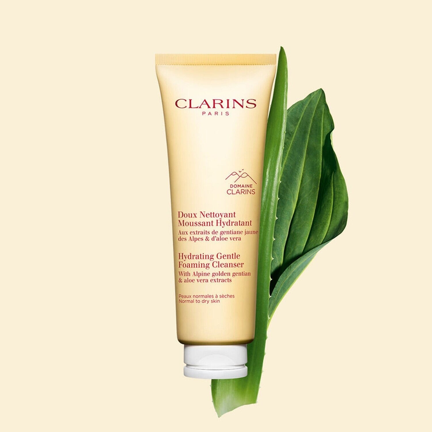 Clarins Paris Hydrating Gentle Foaming Cleanser.